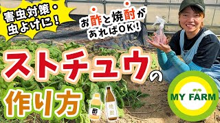 【害虫対策】ストチュウの作り方と使い方をイチから紹介します│かっちゃんの有機栽培ｺｰｻﾞ [upl. by Nibas342]