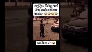 මල්ලි විහිලුවක්නෙ කරේ🫣🫣 athalathalsinhalasltiktokfunnysinhalaathal athaltiktok2024athaltiktok [upl. by Saalocin993]