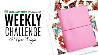 DOLLAR TREE Planner Challenge Weekly Setup Plan With Me [upl. by Atterehs780]