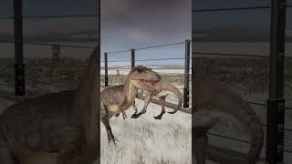 Albertosaurus Kills Gallimimus 🦖 dinosaur albertosaurus gallimimus jwe2 dino [upl. by Silin]