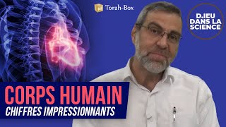 LES CHIFFRES IMPRESSIONNANTS DU CORPS HUMAIN 🧑‍🔬 DIEU DANS LA SCIENCE [upl. by Larkins]