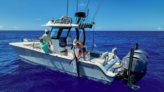 Fishing 35 miles Offshore on New 28’ Freeman Bay Boat CatchCleanCook [upl. by Arec]