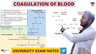 Coagulation Of Blood  Clotting Factors  Blood Physiology [upl. by Buhler]