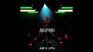 Asake Ft Olamide  Amapiano Official Lyric Video [upl. by Sedinoel]