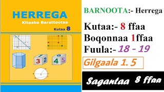 BARNOOTA Herrega Kutaa 8ffaa Sagantaa 8ffaa [upl. by Japha]