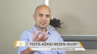 Testis Ağrısı Neden Olur [upl. by Murton500]