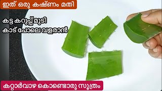 ഒറ്റ യൂസിൽ മുടി കൊഴിച്ചിലും താരനും മാറി നല്ല നീളത്തിൽ വളരാൻ കറ്റാർവാഴAloe Vera for Hair Growth [upl. by Domella]