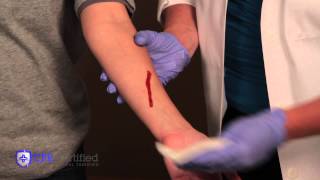 How to Stop Bleeding and Apply Bandages [upl. by Aihtiekal]