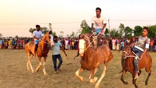 King Khan of Bengal Tasminas younger brother rode across the field on horseback winning the heart [upl. by Sands]