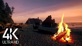 8 Hours 4K Campfire On Beach  Crackling Fire with Ocean Waves Sounds [upl. by Maggio]