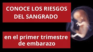 Conoce los riesgos del sangrado en el primer trimestre de embarazo [upl. by Gnes699]