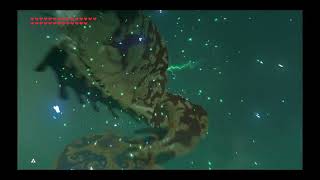 The Legend of Zelda Breath of the Wild defeating Molduking very fast no damage buffs one cycle [upl. by Pike]