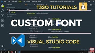 How to Use custom Font in Visual Studio Code [upl. by Niamor]