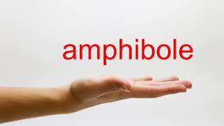 How to Pronounce amphibole  American English [upl. by Strenta]