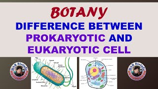 DIFFERENCE BETWEEN EUKARYOTIC AND PROKARYOTIC CELLS  BSC Botany 4th semester  HSR Bioinfo [upl. by Edmonda479]