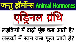 Hormones  human hormones  hormones in hindi  endocrine system in Hindi  Adrenal glands in hindi [upl. by Ahterahs]