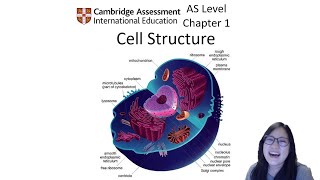 Eukaryotic Cell Structure amp Organelles  Alevel Biology  OCR AQA Edexcel [upl. by Aimej]