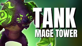 Tank Mage Tower Guide amp Full Walkthrough  Guardian Druid POV [upl. by Udella]