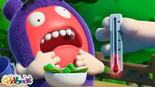 Oddbods Feeling🌶️HOT HOT HOT🌶️ BEST Oddbods Full Episodes  2023 Funny Cartoons for Kids [upl. by Burman]