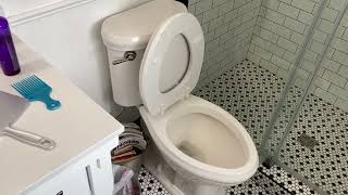 20Inch Extra Tall Toilet  Convenient Height  Rowdydawgs Honest Reviews [upl. by Kcirdahs]