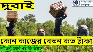 দুবাই কোন কাজের বেতন কত টাকা ।Dubai work visa salary 2021 [upl. by Croix]