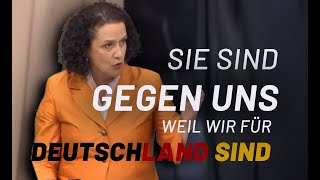 Deswegen wollen Sie die AfD vernichten [upl. by Ajiram]