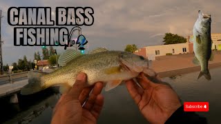 Arizona Canal Bass Fishing [upl. by Noevart]