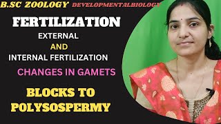 Fertilization BSc 3rd yr developmental biology external internal fertilization Blocks To Polyspermy [upl. by Ameer]