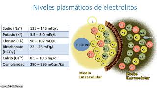 BQ Balance hídrico y de electrolitos 1a Parte [upl. by Manuel225]