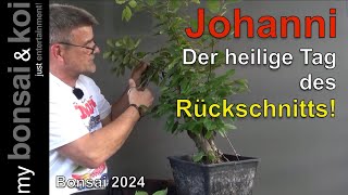 Bonsai 202440  Johannestag  der heilige Tag des Rückschnitts [upl. by Paquito812]