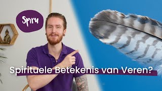 22 Veren die volgens Sjamanen Spirituele Betekenis hebben Boodschappen van Boven [upl. by Luana]