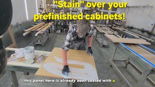 DiyStainingFinishing over a sealed kitchen panelcabinet diy staining tutorial [upl. by Aivon116]