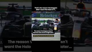 This might be why Max Verstappen didnt want the Halo in Formula 1 [upl. by Ailyn]