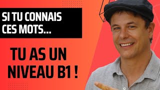 Si Tu Connais ces Mots Tu As un Niveau B1 en Français [upl. by Axe]