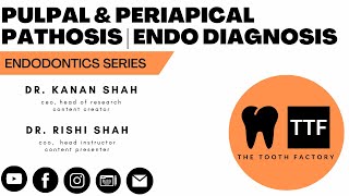 Pulpal amp Periapical Diagnosis  Endodontics Diagnostic Test  Dental Education [upl. by Andree]