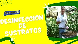 Como realizar la Desinfección de Sustratos para germinacion de semillas con Formol [upl. by Llegna]