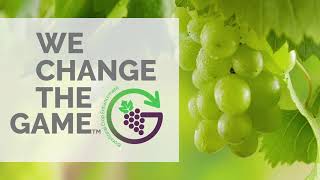 Benefits of ProGibb® on Table Grapes [upl. by Nsaj]