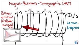 Das MRTSignal [upl. by Hegyera435]