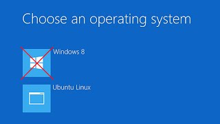 Uninstall Windows from a Linux Dual Boot [upl. by Rochell288]