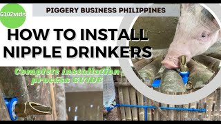 Automatic Water Drinkers For Pigs  How to Install Pig Nipple Drinkers  Effective DIY Pig Drinkers [upl. by Romain]