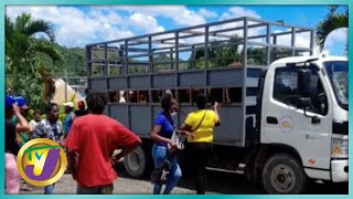 Praedial Larceny in Jamaica  What we Need to Know  TVJ Smile Jamaica [upl. by Riehl]