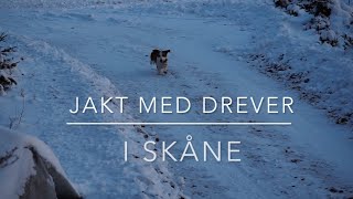 Jakt med drever [upl. by Yerfoeg974]