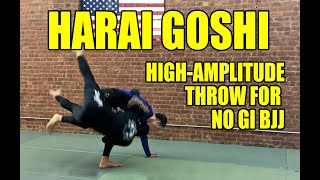 Harai Goshi HighAmplitude Throw for No Gi BJJJiuJitsuJudo [upl. by Thorstein809]