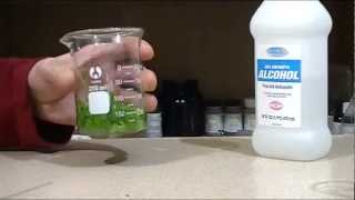 Extracting chlorophyll [upl. by Betthezul]