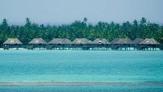 One Day In Port  Bora Bora [upl. by Patrick]