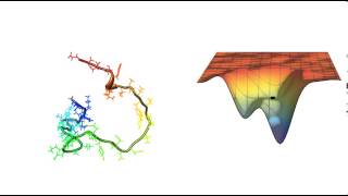 Protein Folding [upl. by Ahsirahc]