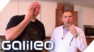 Jumbo Schreiner Der große Nudelcheck  Galileo  ProSieben [upl. by Atteiluj]