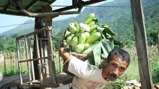 Gravity Goods Ropeway in Nepal [upl. by Ellehcim]