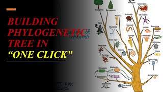 Phylogenetic tree  HOW TO CONSTRUCT PHYLOGENETIC TREE IN quotONE CLICKquot Bioinformatics Tutorials [upl. by Ellon]