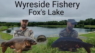 Wyreside fisherys Foxs Lake Carp Fishing  July 2019 💥20lb Common 💥 [upl. by Erodaeht678]